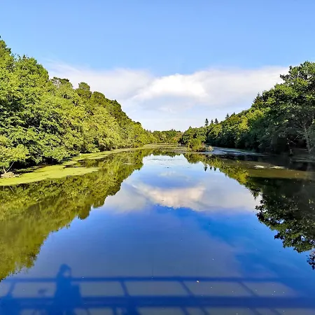 Chambre Privee Au Coeur De Belle Beille Hotel Angers