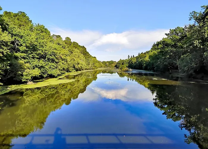Chambre Privee Au Coeur De Belle Beille فندق أنجير