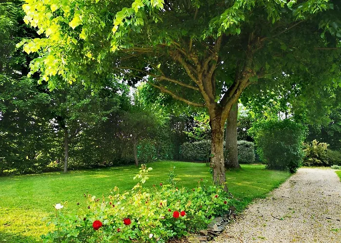 Chambre Privee Au Coeur De Belle Beille